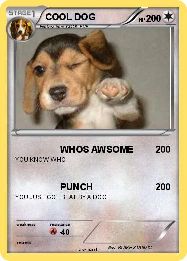 Pokemon COOL DOG
