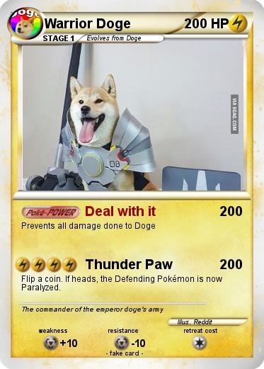 Pokemon Warrior Doge