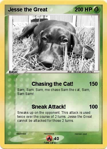 Pokemon Jesse the Great