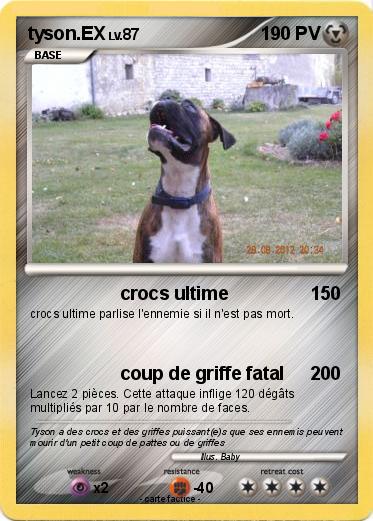 Pokemon tyson.EX