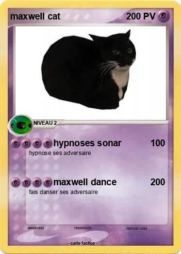 Pokemon maxwell cat