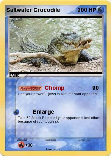 Pokemon Saltwater Crocodile