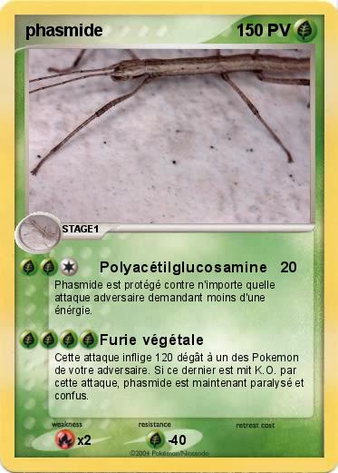 Pokemon phasmide