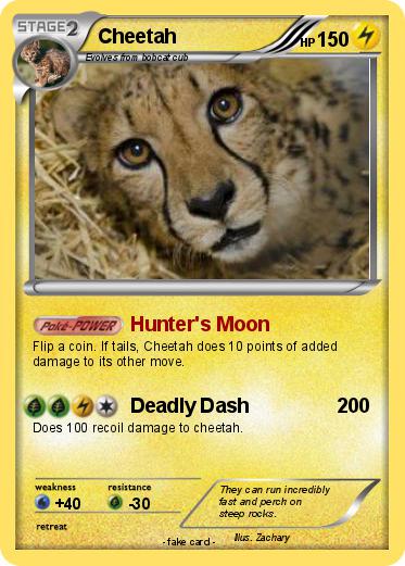 Pokemon Cheetah