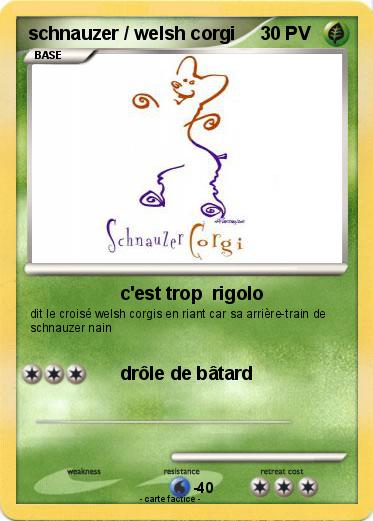 Pokemon schnauzer / welsh corgi