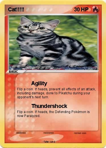 Pokemon Cat!!!!!