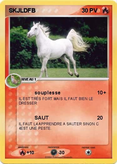 Pokemon SKJLDFB