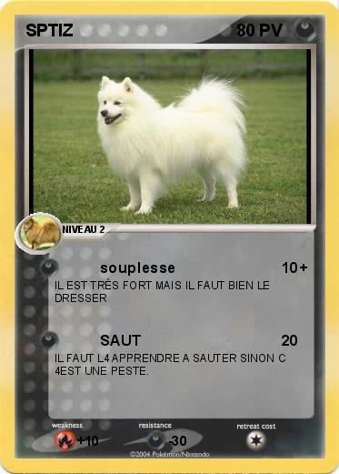 Pokemon SPTIZ