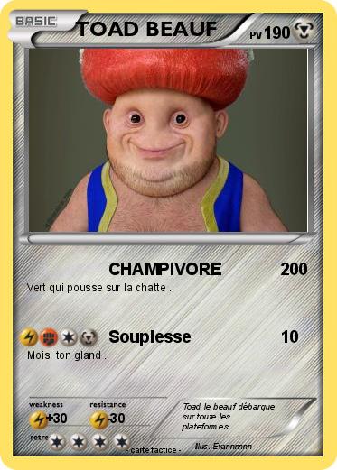 Pokemon TOAD BEAUF