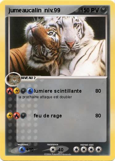 Pokemon jumeaucalin  niv.99