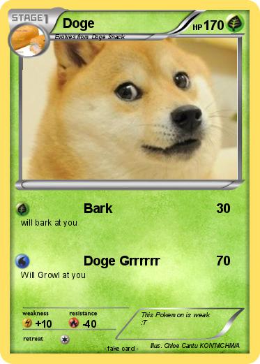 Pokemon Doge