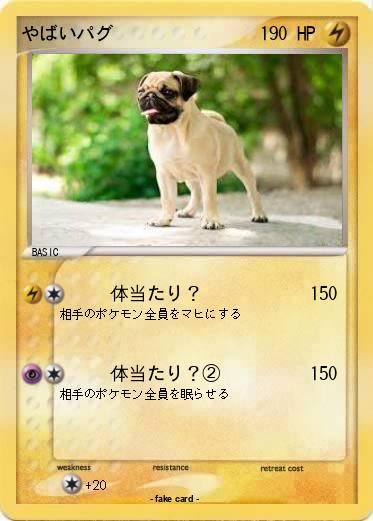 Pokemon やばいパグ