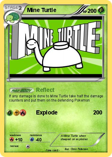 Pokemon Mine Turtle