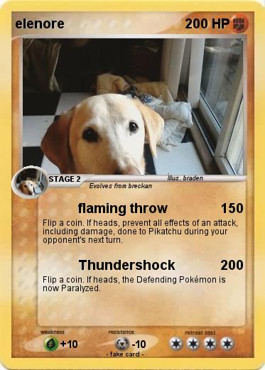Pokemon elenore