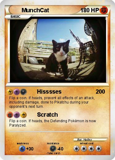 Pokemon MunchCat