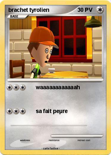 Pokemon brachet tyrolien