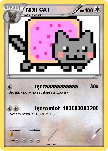 Pokemon Nian CAT
