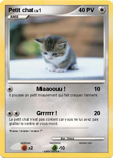 Pokemon Petit chat