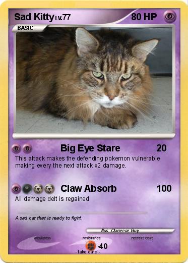 Pokemon Sad Kitty