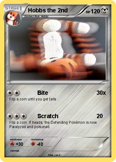 Pokemon Hobbs the 2nd