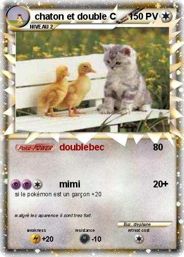 Pokemon chaton et double C