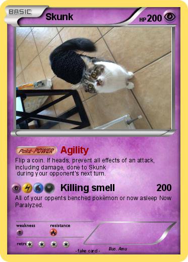 Pokemon Skunk