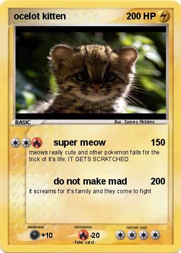 Pokemon ocelot kitten