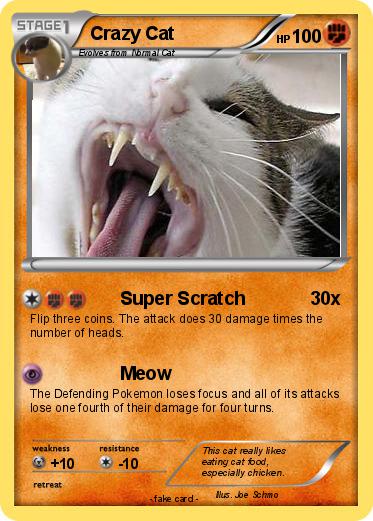Pokemon Crazy Cat