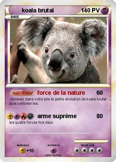 Pokemon koala brutal