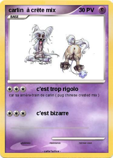 Pokemon carlin  à crête mix