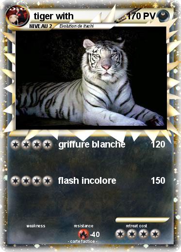 Pokemon tiger with