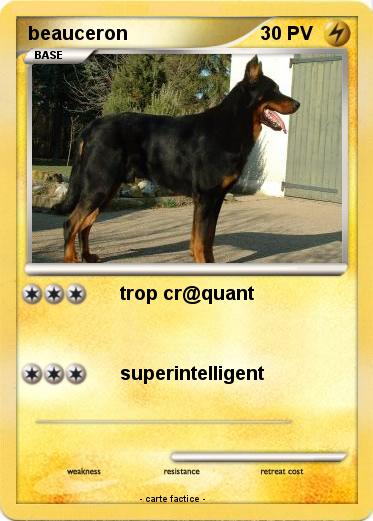 Pokemon beauceron