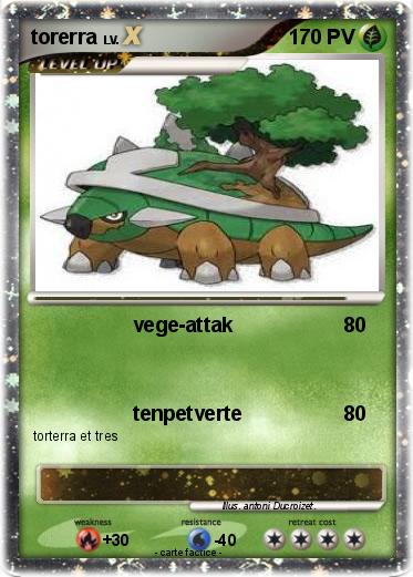 Pokemon torerra