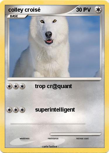 Pokemon colley croisé