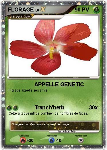 Pokemon FLORAGE