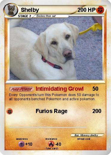 Pokemon Shelby