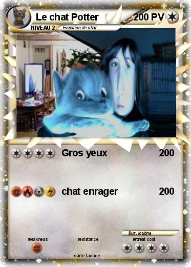Pokemon Le chat Potter