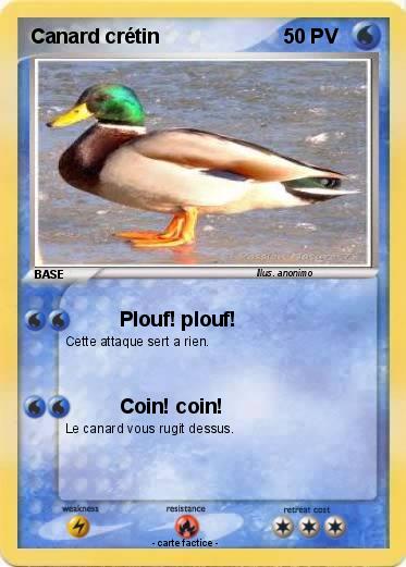 Pokemon Canard crétin