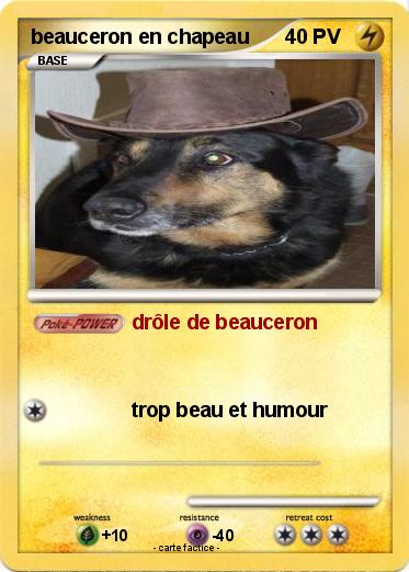 Pokemon beauceron en chapeau
