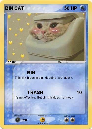 Pokemon BIN CAT
