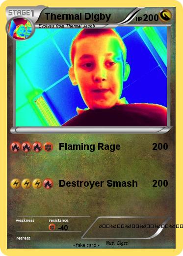 Pokemon Thermal Digby