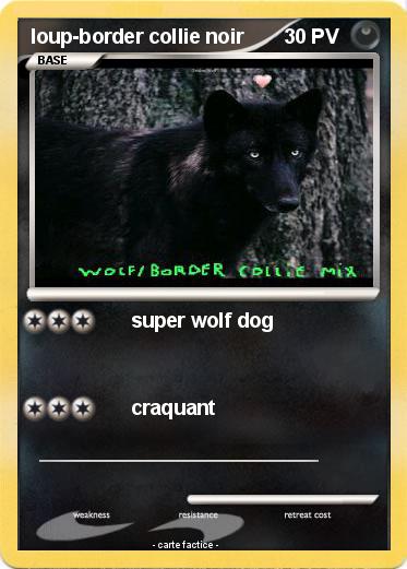 Pokemon loup-border collie noir