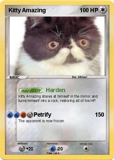 Pokemon Kitty Amazing
