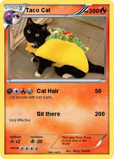 Pokemon Taco Cat