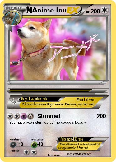 Pokemon Anime Inu