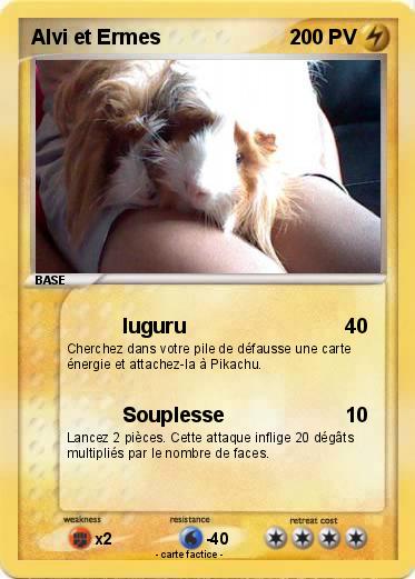 Pokemon Alvi et Ermes