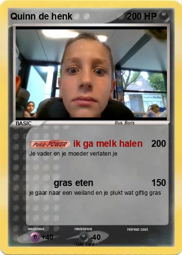 Pokemon Quinn de henk