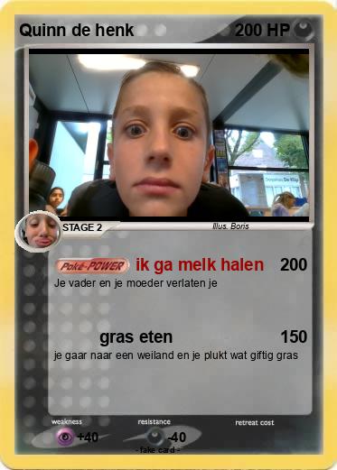 Pokemon Quinn de henk
