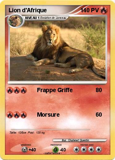 Pokemon Lion d'Afrique