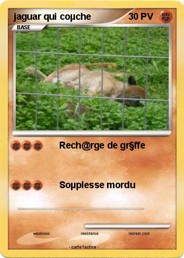 Pokemon jaguar qui coµche